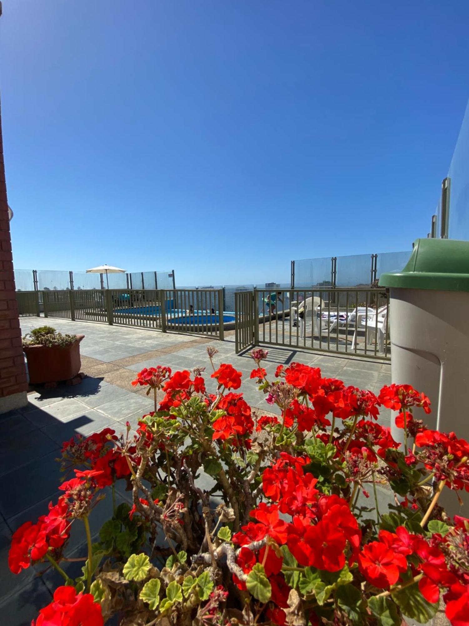 Apartamento Departamento Vina Park Vina del Mar