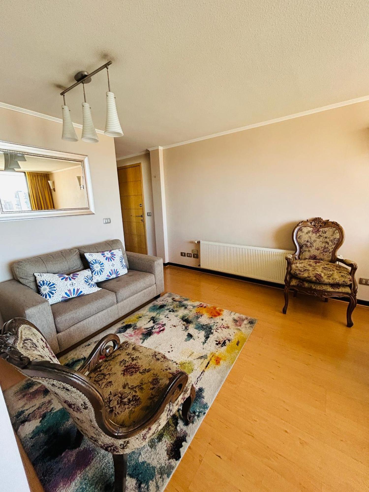 Apartamento Departamento Vina Park